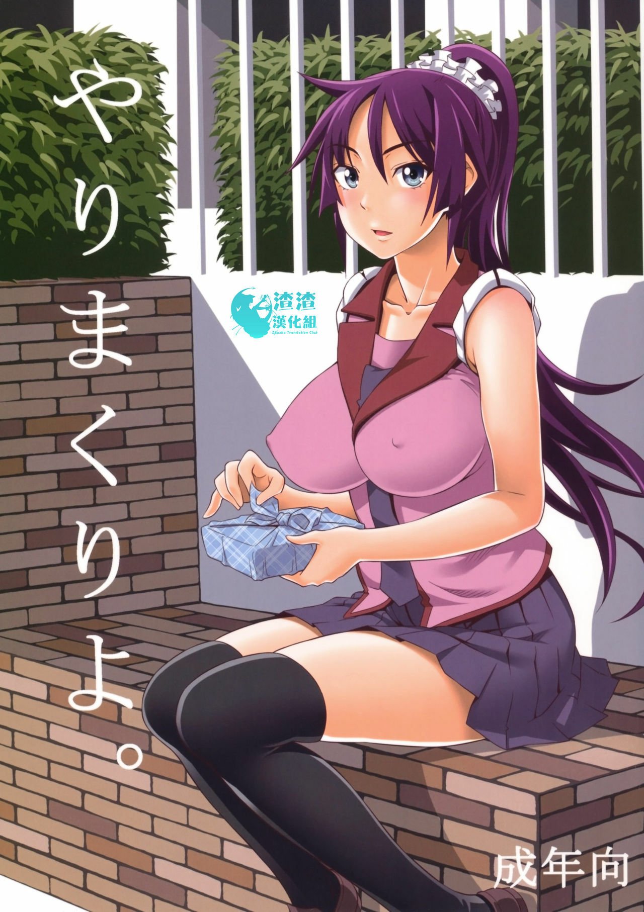 [渣渣汉化组] (C80) [pooca (乃良紳二)] やりまくりよ。 (化物語) - ACG168