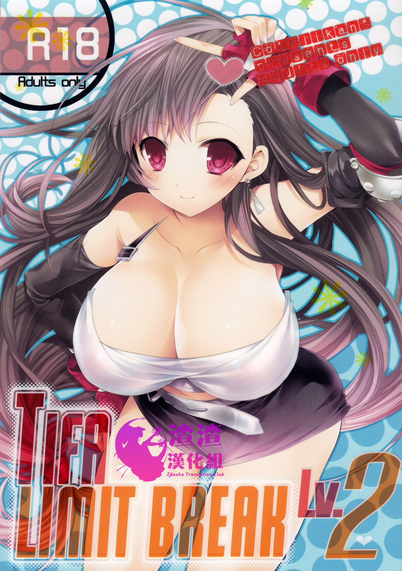 [渣渣汉化组] (C80) [琴慈館 (琴慈)] TIFA LIMIT BREAK Lv.2 (ファイナルファンタジーVII) - ACG168