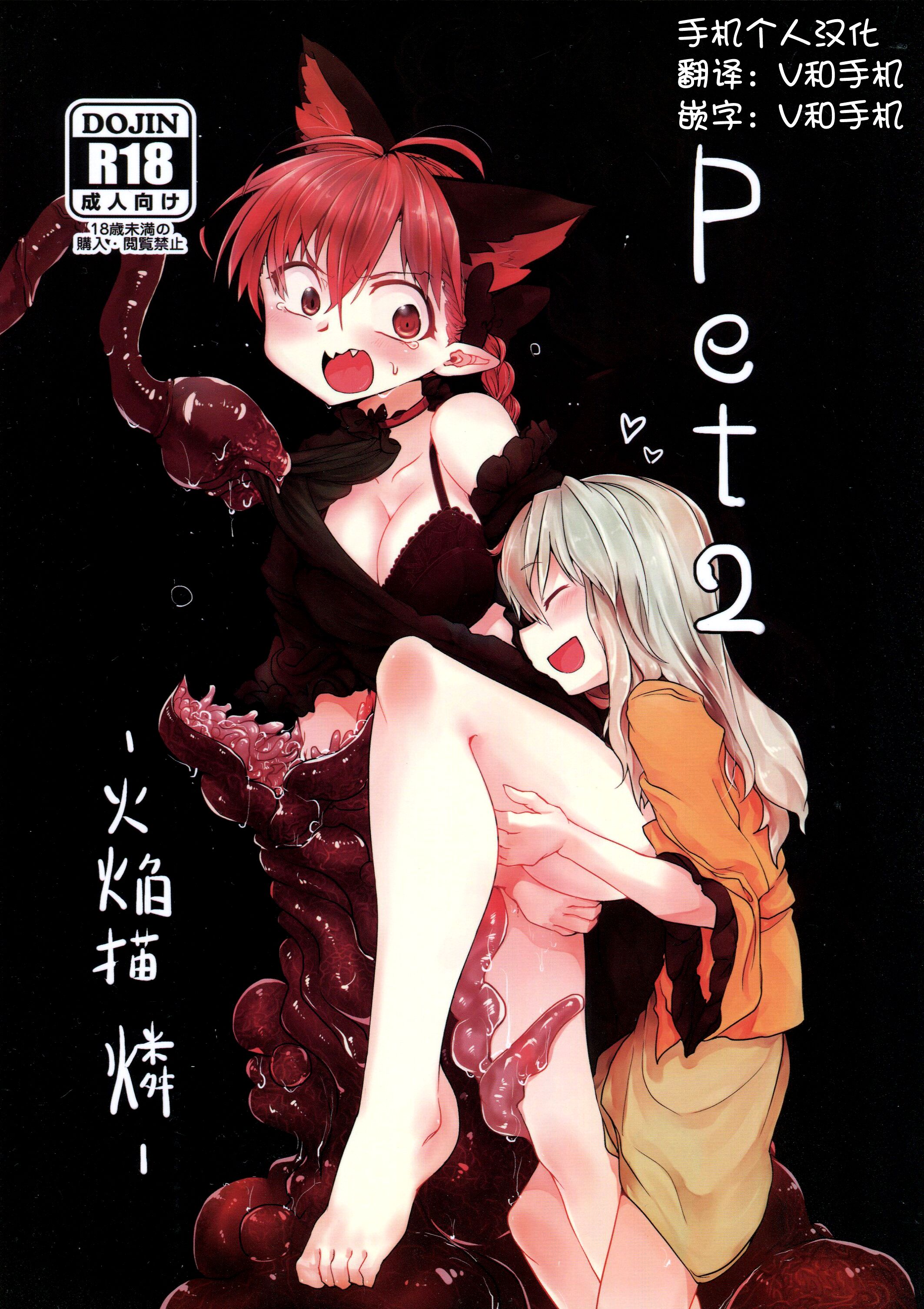 (例大祭10) [RTD (みずが)] pet 2 -火焔猫 燐- (東方Project) [手机个人汉化] – ACG168