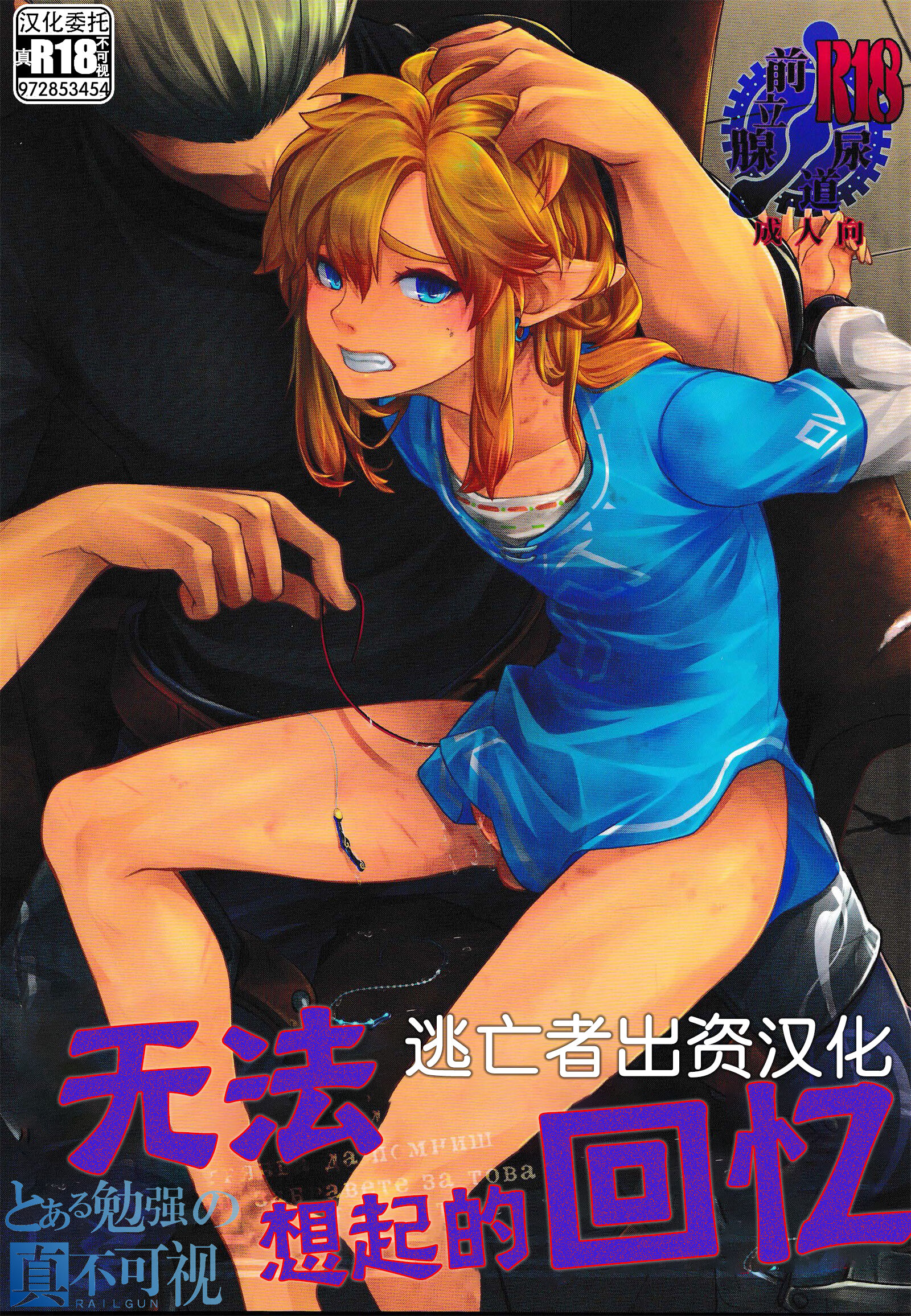 [Amakasas (ONP)] 思い出してはいけない記憶 (ゼルダの伝説) [逃亡者×真不可视汉化组] - ACG168