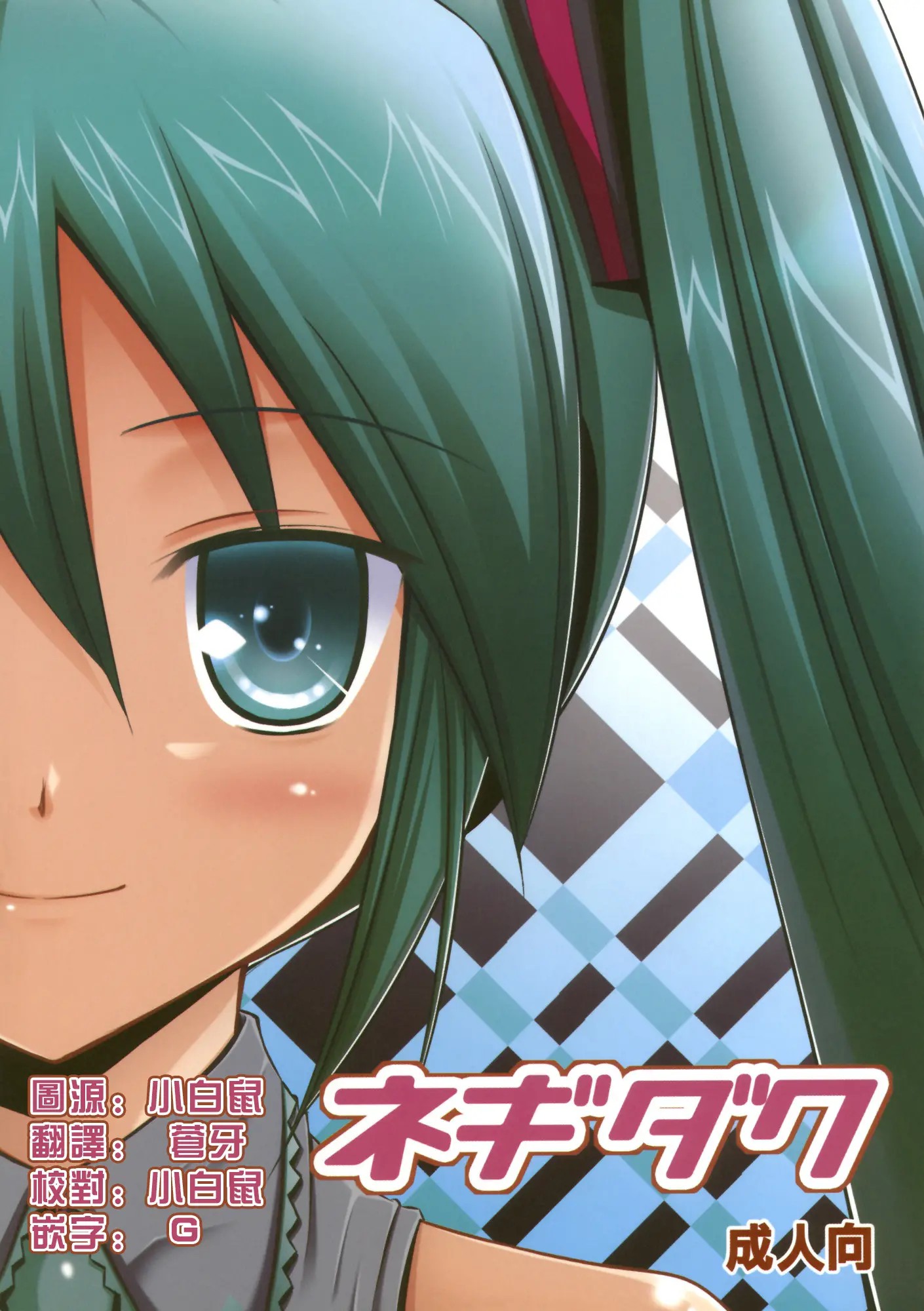[御宅町汉化组] [よつみわーくす (雪野みなと, 千葉ちばさ, 日辻ハコ)] ネギダク (VOCALOID) – ACG168