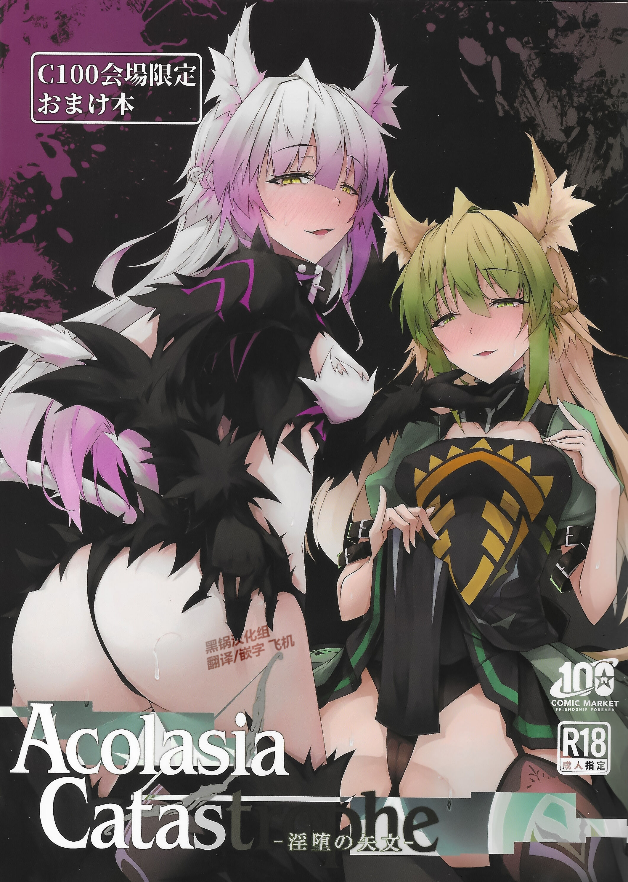 (C100) [eK-SHOP (ついじ)] C100会場限定おまけ本 Acolasia Catastrophe -淫墮の矢文- (Fate／Grand Order) [黑锅汉化组] – ACG168