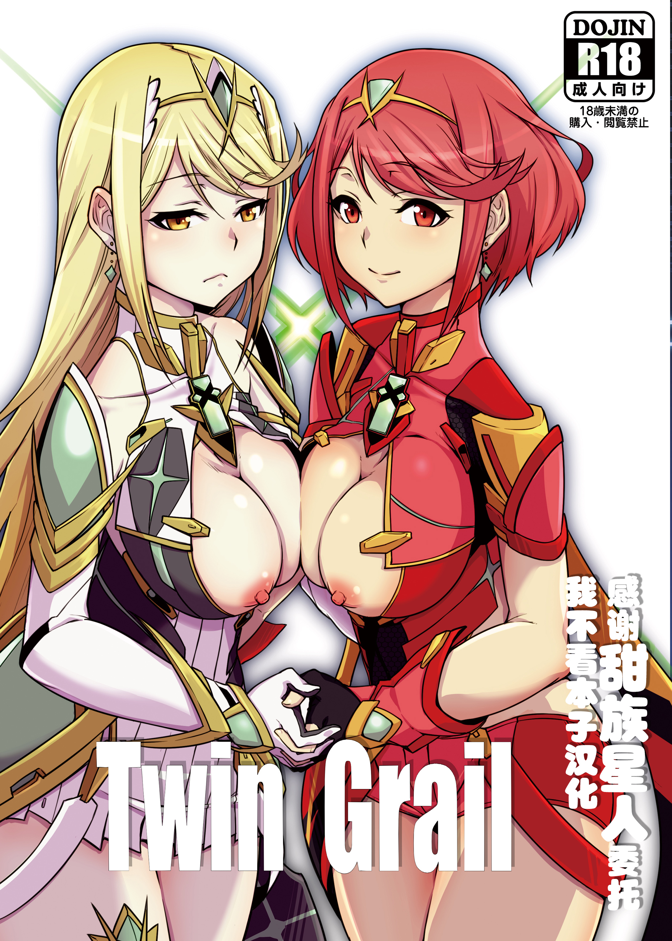 [白い闇 (k-you)] Twin Grail (ゼノブレイド2) [DL版] [甜族星人x我不看本子汉化] – ACG168