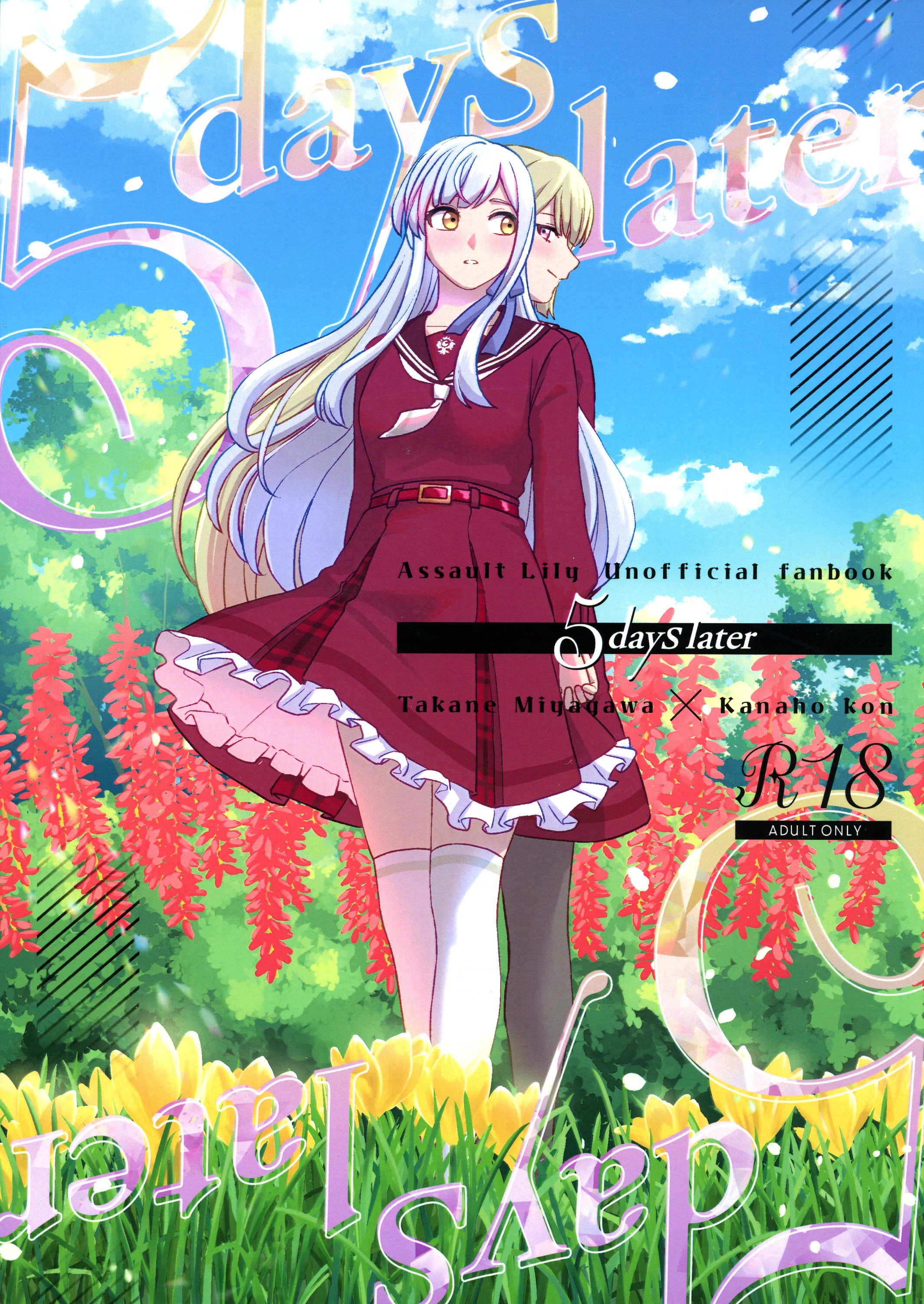 (C103) [OSAKANASUNSET (きむラ)] 5days later (アサルトリリィ) [透明声彩汉化组] – ACG168