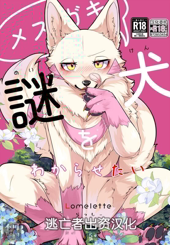 [Lomelette (らっしー)] メスガキ謎犬をわからせたい [逃亡者×真不可视汉化组] [DL版] - ACG168